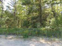 14726 Shore Line Drive, Wolverine, MI 49799