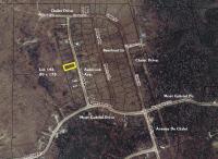 14690 Ashbrook Avenue, Wolverine, MI 49799