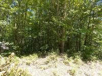 15599 Wurm Road, Wolverine, MI 49799