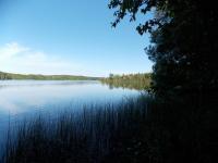 9885 E Munro Lake Drive, Levering, MI 49755