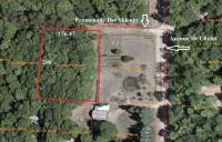 15073 Promenade Des Skieurs, Wolverine, MI 49799