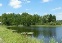 15664 Island Drive, Wolverine, MI 49799