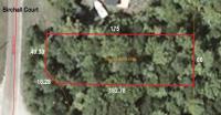 14230 Birchall Court, Cheboygan, MI 49721