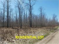 1781 S Extension Road, Indian River, MI 49749