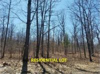 1781 S Extension Road, Indian River, MI 49749