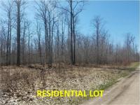 1781 S Extension Road, Indian River, MI 49749