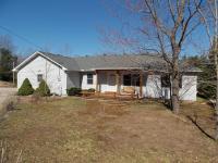 15837 Lakeway Drive, Wolverine, MI 49799