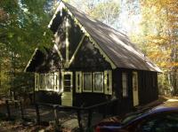 2626 Birch Drive, Wolverine, MI 49799
