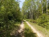 N Fork Road, Ocqueoc, MI 49759