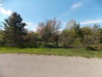 Wartella Road, Cheboygan, MI 49721