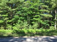 231 Eagles Nest Road, Indian River, MI 49749