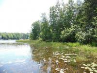15654 Island Drive, Wolverine, MI 49799
