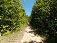 T-bar Drive, Wolverine, MI 49799